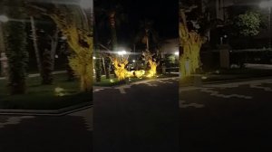 Saphir Hotel 5* Турция Конаклы