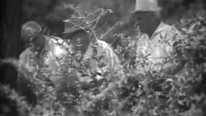 Ростовчане - песня из к/ф "Я - Ростов!"