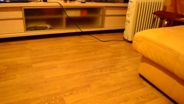 эльфа-Мышь и Тинки смотреть онлайн