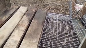 Как зделать клетку для кроликов из подручных средств