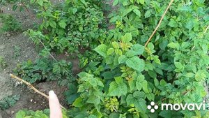 Что вяжу и как вяжу?Все подробно расскажу.