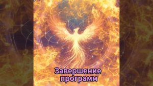 Практика-медитация "Завершение программ"