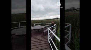 Прогулка в доме отдыха Завидово