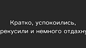 Реакция 13 карт на Вару как кот-дремот