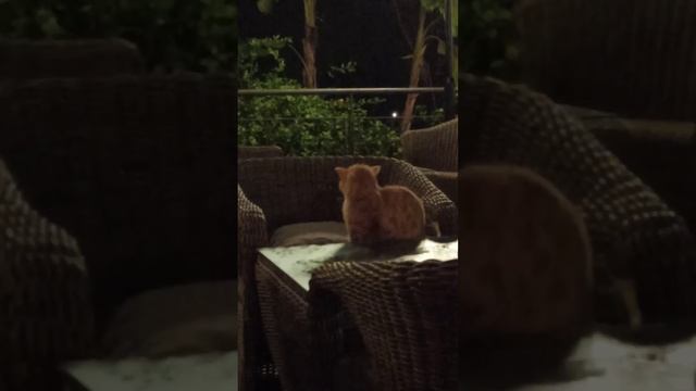 Обычный день в отпуске в Турции смотреть онлайн