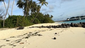 Отель и пляж Siyam World Maldives