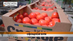 Новости Камчатки за 25 апреля 2025 года