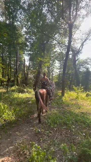 Эксклюзивная экскурсия в «парк-отеле Озеро Дивное» Верховая езда; купание в реке; квест,пикник #соч смотреть онлайн