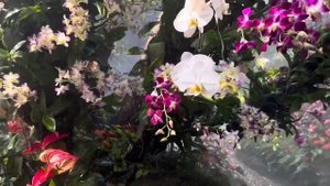 Самый восхитительный ресторан Северного Таиланда. Ресторан Лалитта в Чианграе. 22/3/24