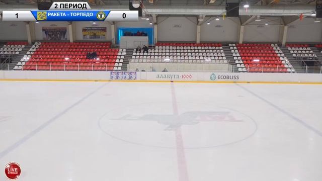 ТОРПЕДО (Ижевск)-РАКЕТА (Арск) LIVE 9:00 РТ-2010гр (2 этап)