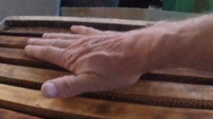 Ловушка для пчёл 🐝, как я её снаряжаю