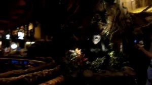 В ресторане Rain Forest