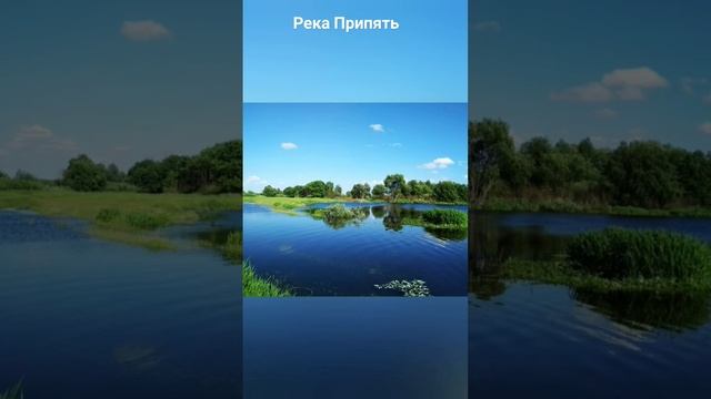 #андрейординарцев #рекибеларуси#природародногокрая  Река Припять.