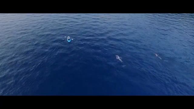 Отдых летом 2017 года!😘 смотреть онлайн