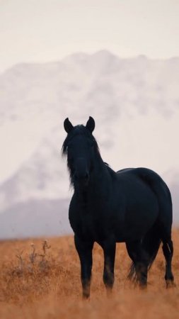 Вдохновение нужно искать в природе