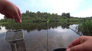 Ночные Обитатели Березины! Рыбалка с Ночевкой на Реке Березина. Плотва, Густера, Подлещик на Фидер.