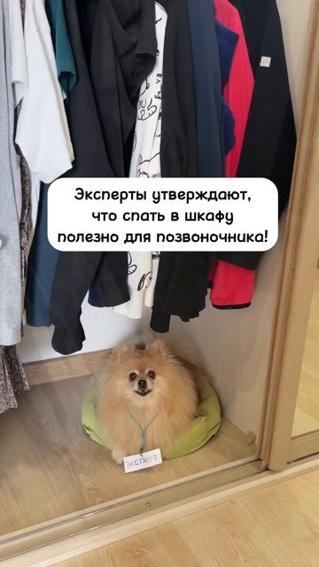 Выбирайте правильное место для хорошего сна!