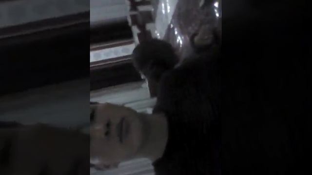 Ала-Тоо рестараны эски кундордон эстелик смотреть онлайн