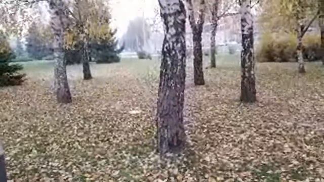 ОТПРАВИЛА ПОСЫЛКУ смотреть онлайн