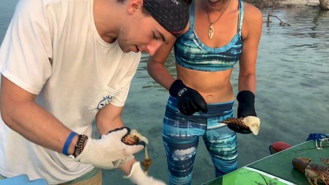 SUP Camping & Lobstering | Salt Life смотреть онлайн