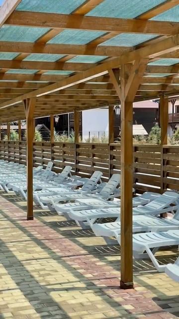 Миллион #shots #крым #лето2023 #гостевой_дом #зебра #море #черноеморе #humor #like #крымсегодня смотреть онлайн