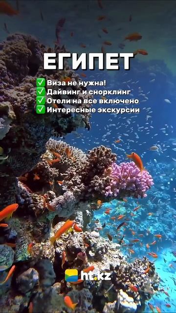 Куда полететь летом 2024? | ТОП безвизовых направлений для казахстанцев | HT.KZ смотреть онлайн