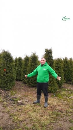 Даже в непогоду мы работаем в полную силу 💪🏼