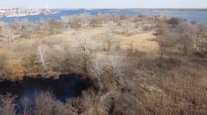 Херсон пляж Гидропарк остров зоопарк