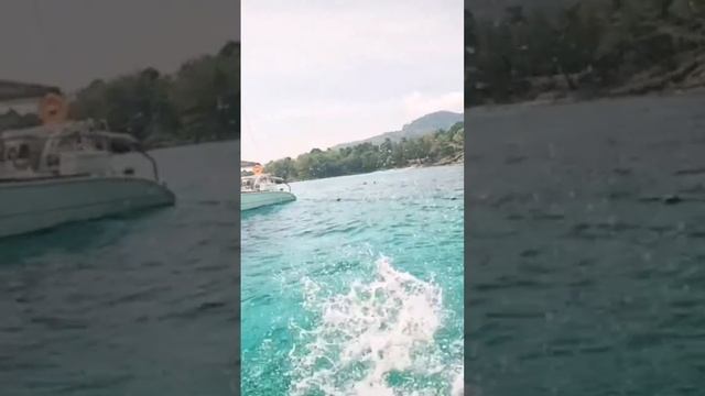 ТАИЛАНД | ДАЙВИНГ #shortsvideo #shortvideo #tailandia #пхукет #таиланд #phuket смотреть онлайн