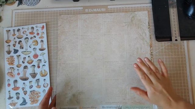 ВЛОГ #5 - Покупки, процессы, дача и котики, новая бумага Ромалетта, прогулка по городу смотреть онлайн