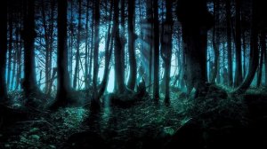 Звуки природы - Ночные джунгли