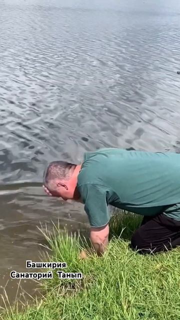 Ежедневник Аниматора смотреть онлайн