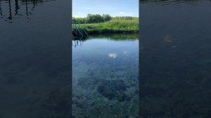 Оренбург. Сероводородный источник. Пономаревский район.