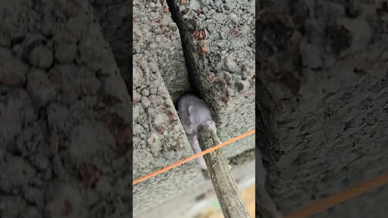 Монтажная пена заделка/Строительство #стройка #diy #строительство