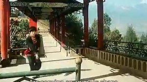 Китайское ушу (стили ушу и виды оружия)