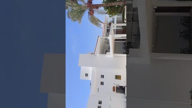 Обед (27.07.2024г.) в Maritim Jolie Ville Resort & Casino смотреть онлайн