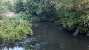 Красивые кадры реки. Природа Липецкой области.