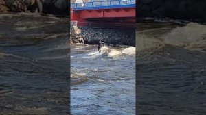🌊 Часть 2. Нашего Серф трипа по питерским речкам 🌊
