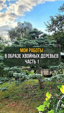 Мои работы в образе хвойных деревьев. Часть 1