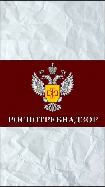 Как открыть шаурмечную?