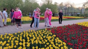 Научи меня жить..... 25.04.25.