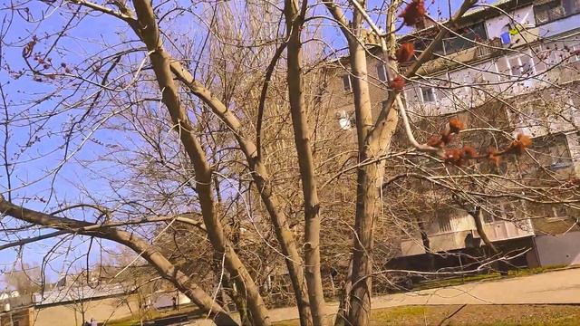 Бульвар Шевченко Бердянск 25 марта 2024г смотреть онлайн