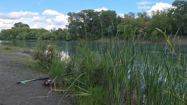 Река Сулак.#дагестан #канал #сулак #природа #отдых смотреть онлайн