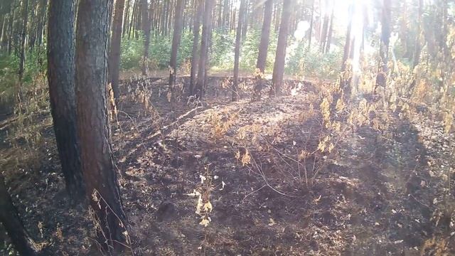 Publiskā airsoft spēle #riga Mežaparka СТРАЙКБОЛЬНАЯ ИГРА РИГА МЕЖАПАРК 2019 смотреть онлайн