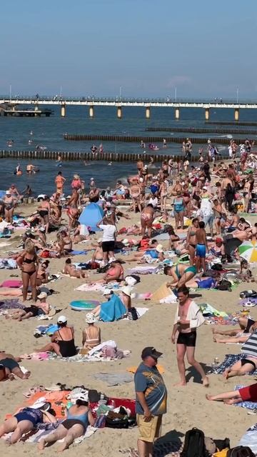 Высокие цены в Калининграде не помеха отдыху. #калининград #зеленоградск #море #shorts смотреть онлайн