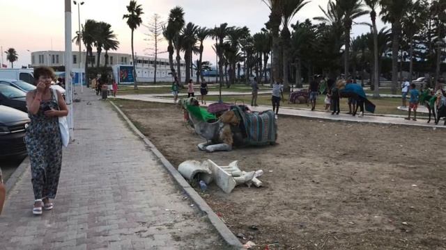 Тунис. Hotel Medna Mahdia Tunisia & Monoprix. Магазины. Покупки. смотреть онлайн