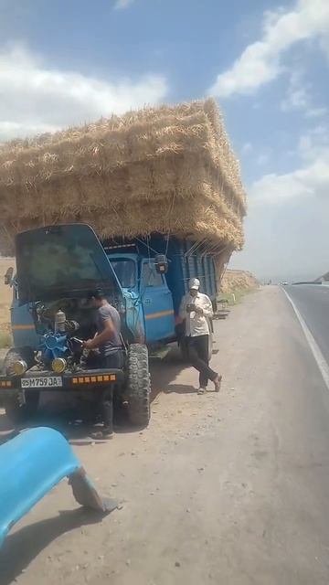 Газ53 🌞#зил130 #газ53 #automobile #uzbekistan #uzb #rek #ссср смотреть онлайн