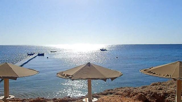 море в Park Regency смотреть онлайн