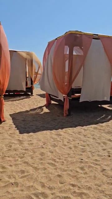 Крым Феодосия Приморский 30.08.2023 смотреть онлайн