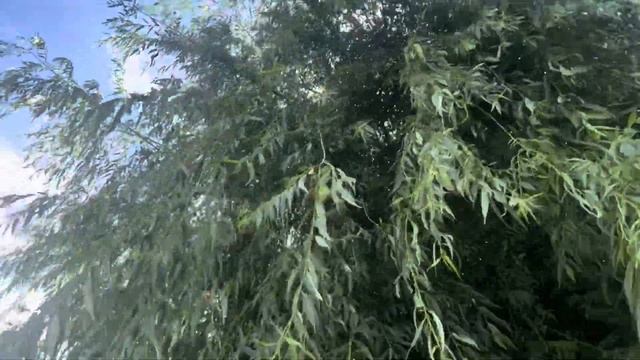 ДАМ ОЛИШ МАСКАНИ ЧОРВОҚ ПИРАМИДА . ТАШКЕНТ ГОРНЫЙ КУРОРТНЫЙ ЗОНА ОТДЫХА ЧАРВАК смотреть онлайн